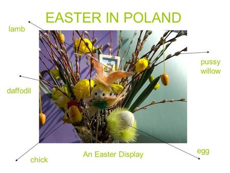 EASTER IN POLAND An Easter Display lamb daffodil chick egg pussy willow.
