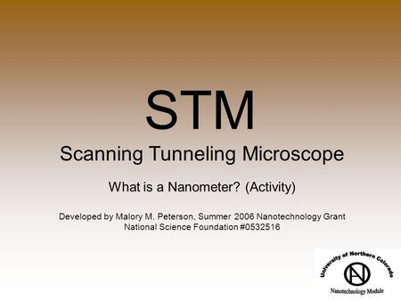 STM Scanning Tunneling Microscope What is a Nanometer? (Activity) Developed by Malory M. Peterson, Summer 2006 Nanotechnology Grant National Science Foundation.