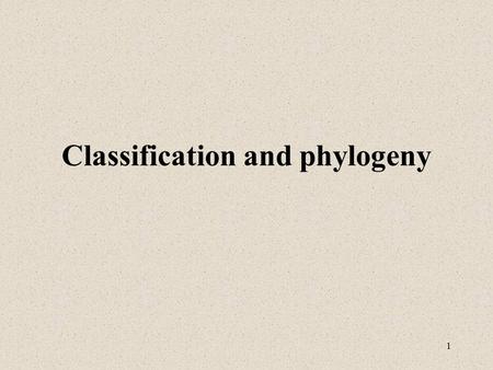 Classification and phylogeny