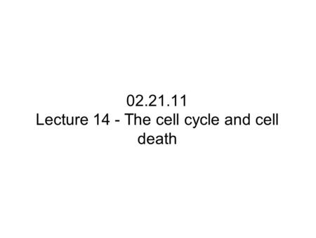 Lecture 14 - The cell cycle and cell death