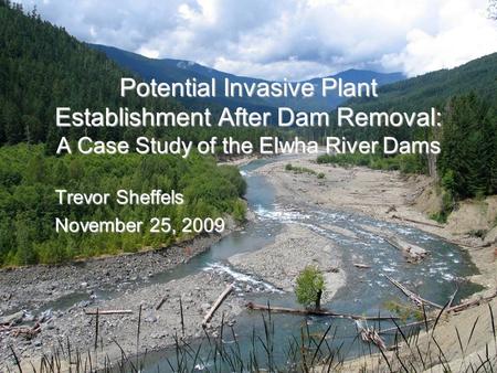 Potential Invasive Plant Establishment After Dam Removal: A Case Study of the Elwha River Dams Trevor Sheffels November 25, 2009.