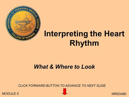Interpreting the Heart Rhythm What & Where to Look MODULE 3 NRSG450 CLICK FORWARD BUTTON TO ADVANCE TO NEXT SLIDE.