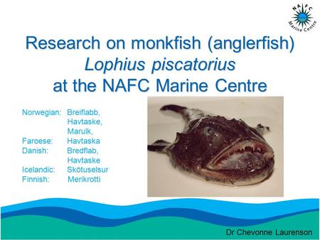 Research on monkfish (anglerfish) Lophius piscatorius at the NAFC Marine Centre Norwegian: Breiflabb, Havtaske, Marulk, Faroese: Havtaska Danish: Bredflab,
