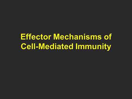 Effector Mechanisms of Cell-Mediated Immunity. Cell Mediated Immunity Historically, immunologist have divided adaptive immunity into namely: CMI, which.