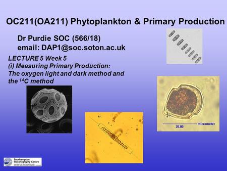 OC211(OA211) Phytoplankton & Primary Production Dr Purdie SOC (566/18)   LECTURE 5 Week 5 (i) Measuring Primary Production: The.