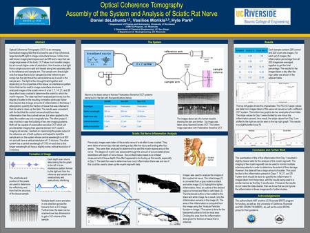 POSTER TEMPLATE BY: www.PosterPresentations.com Optical Coherence Tomography Assembly of the System and Analysis of Sciatic Rat Nerve Daniel deLahunta.