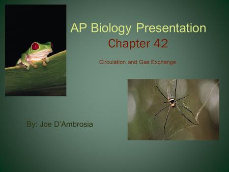AP Biology Presentation Chapter 42
