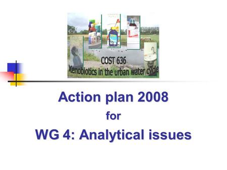 Action plan 2008 for WG 4: Analytical issues. COST Action 636 5 th Meeting, Santiago de Compostela, September 10-12, 2007 Previous actions of WG 4 Numerous.