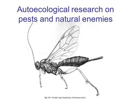 Autoecological research on pests and natural enemies.