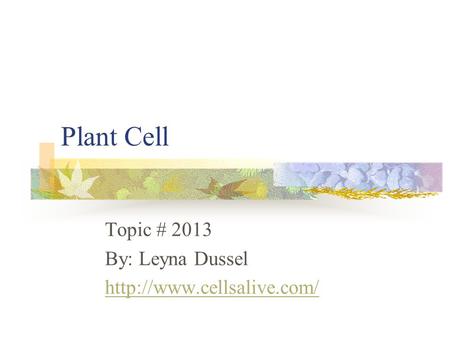 Plant Cell Topic # 2013 By: Leyna Dussel