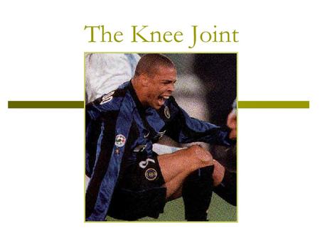 The Knee Joint.  Hinge joint?  Double-condyloid joint Flexion and Extension Internal and External Rotation  The locking of the knee into full extension.