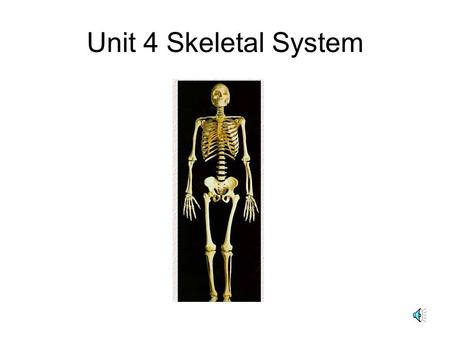 Unit 4 Skeletal System 1. List the 5 functions of the Skeletal System Supports the body Protects soft body parts Produces Blood Cells Stores fats and.