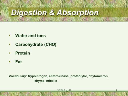 SF Biology II1 Digestion & Absorption Water and ions Carbohydrate (CHO) Protein Fat Vocabulary: trypsin/ogen, enterokinase, proteolytic, chylomicron, chyme,
