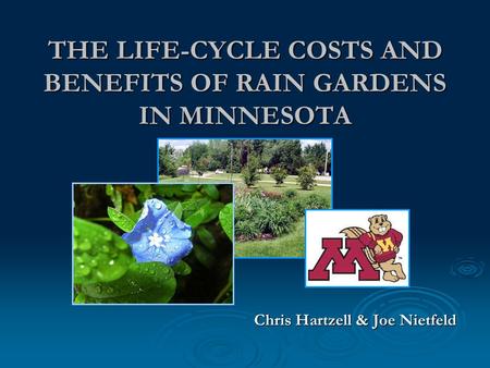 THE LIFE-CYCLE COSTS AND BENEFITS OF RAIN GARDENS IN MINNESOTA Chris Hartzell & Joe Nietfeld.