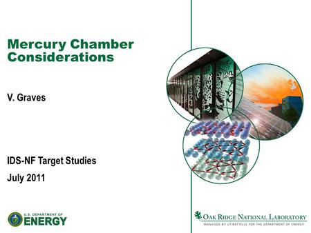 Mercury Chamber Considerations V. Graves IDS-NF Target Studies July 2011.