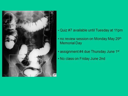 Quiz #7 available until Tuesday at 11pm no review session on Monday May 29 th Memorial Day assignment #4 due Thursday June 1 st No class on Friday June.