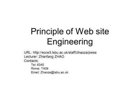 Principle of Web site Engineering URL:  Lecturer: Zhanfang ZHAO Contacts: Tel: 6340 Rome: T409