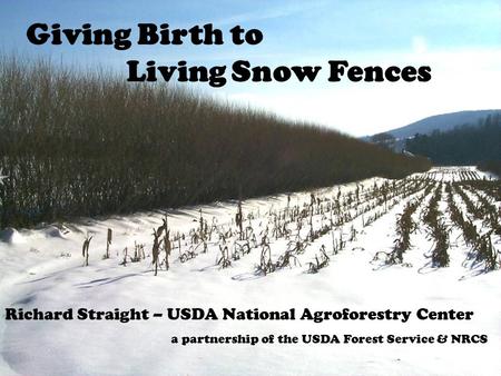 10/5/05 2005 Living Snowfence Workshop - Spokane, WA 1 Giving Birth to Living Snow Fences Richard Straight – USDA National Agroforestry Center a partnership.