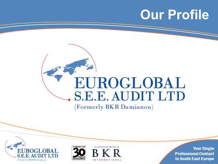 Our Profile Your Single Professional Contact in South East Europe.