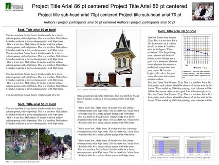 Project Title Arial 86 pt centered Project title sub-head arial 70pt centered Project title sub-head arial 70 pt Authors / project participants arial 56.