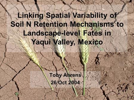 Toby Ahrens 26 Oct 2004 Linking Spatial Variability of Soil N Retention Mechanisms to Landscape-level Fates in Yaqui Valley, Mexico.