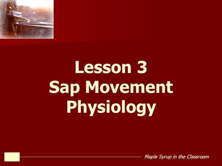 Maple Syrup in the Classroom Lesson 3 Sap Movement Physiology.