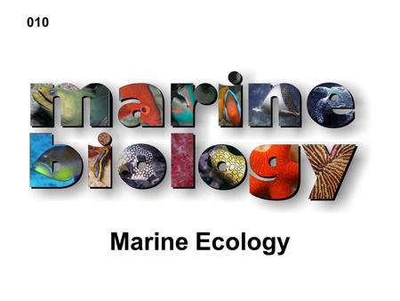 010 Marine Ecology.