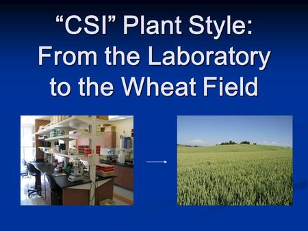 “CSI” Plant Style: From the Laboratory to the Wheat Field.