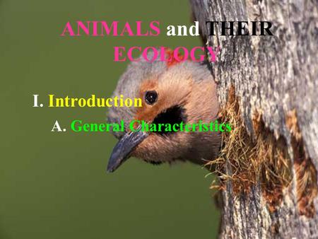 ANIMALS and THEIR ECOLOGY I. Introduction A. General Characteristics.