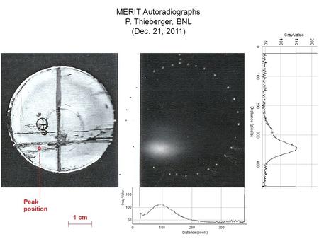 MERIT Autoradiographs P. Thieberger, BNL (Dec. 21, 2011)