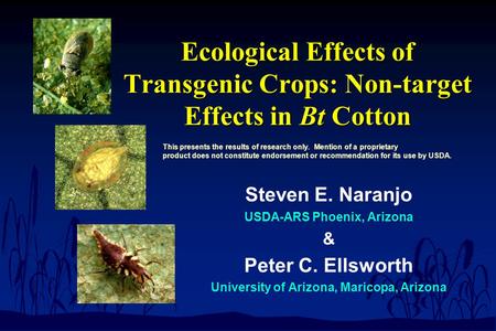 Ecological Effects of Transgenic Crops: Non-target Effects in Bt Cotton Steven E. Naranjo USDA-ARS Phoenix, Arizona & Peter C. Ellsworth University of.