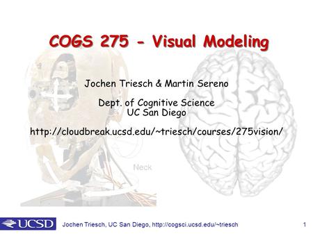 Jochen Triesch, UC San Diego,  1 COGS 275 - Visual Modeling Jochen Triesch & Martin Sereno Dept. of Cognitive Science UC.