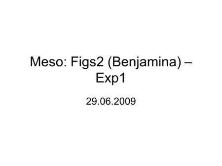 Meso: Figs2 (Benjamina) – Exp1 29.06.2009. 08:46 after 2 fill/flush cycles.