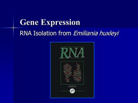 Gene Expression RNA Isolation from Emiliania huxleyi.