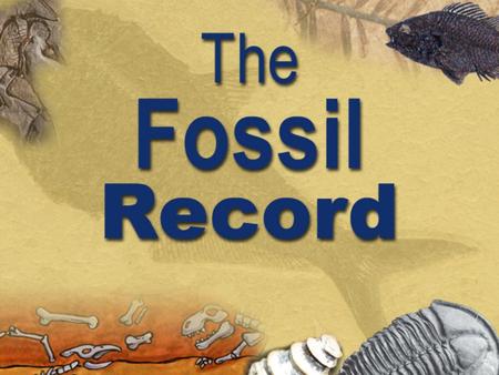 Topics  Two worldviews  The fossil record The Cambrian explosion The Cambrian explosion Famous “transitions” used to support evolution Famous “transitions”