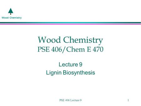 Wood Chemistry PSE 406 Lecture 91 Wood Chemistry PSE 406/Chem E 470 Lecture 9 Lignin Biosynthesis.