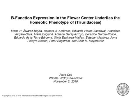 B-Function Expression in the Flower Center Underlies the Homeotic Phenotype of (Triuridaceae)‏ Elena R. Álvarez-Buylla, Barbara A. Ambrose, Eduardo Flores-Sandoval,