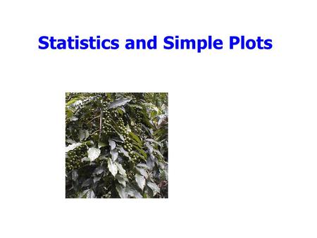Statistics and Simple Plots. Outline Announcements: –Homework II: due Wed. by 5, by e-mail Cookie Challenge Statistics Simple plots Tutorial 4.