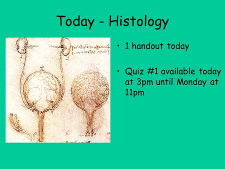 Today - Histology 1 handout today