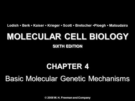 MOLECULAR CELL BIOLOGY © 2008 W. H. Freeman and Company