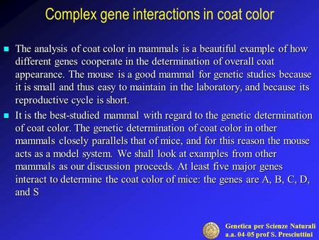 Genetica per Scienze Naturali a.a. 04-05 prof S. Presciuttini Complex gene interactions in coat color The analysis of coat color in mammals is a beautiful.