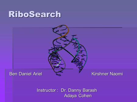 RiboSearch Ben Daniel Ariel Kirshner Naomi