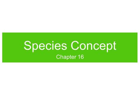 Species Concept Chapter 16. DAILYWORKDAILYWORK Write down your best definition of a “species.” Include any characteristics that scientists might use to.