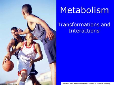 Metabolism Transformations and Interactions Copyright 2005 Wadsworth Group, a division of Thomson Learning.