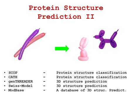 Protein Structure Prediction II