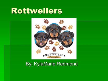 Rottweilers By: KylaMarie Redmond. Pronunciation… ROTT-why-ler.
