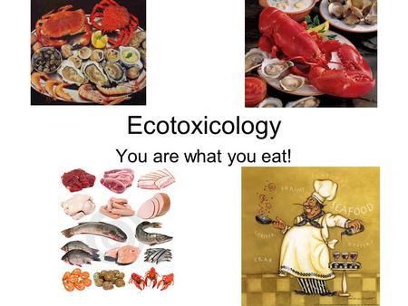 Ecotoxicology You are what you eat!. Where is Pollution? Most near the coast… 76% of fish harvested come from the coast.