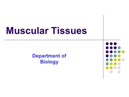 Muscular Tissues Department of Biology. Introduction These tissue form the muscle of the body. Composed of muscle cells or muscle fibers (contraction.