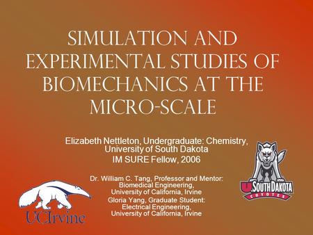 Simulation and Experimental Studies of Biomechanics at the Micro-Scale Elizabeth Nettleton, Undergraduate: Chemistry, University of South Dakota IM SURE.