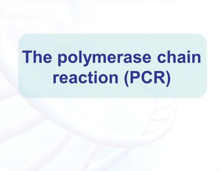 The polymerase chain reaction (PCR)